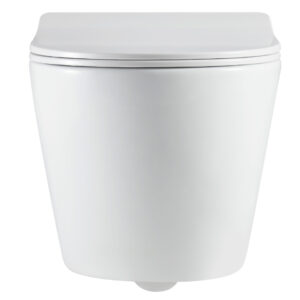 CE-93-001-L wc alb suspdendat p2