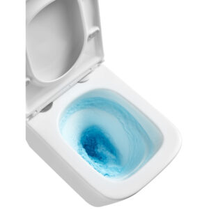 CE-94-001-L WC suspendat p4