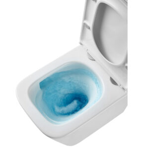 CE-94-001-L wc suspednat p5